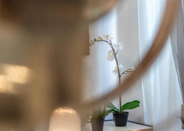 Apartament E Quindi Uscimmo A Riveder Le Stelle *
